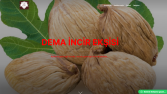 özel istek website