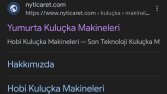 NY Ticaret Google Analytics ve Search Console Yönetimi