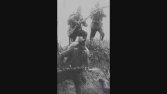 Reklam Reels