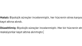 Metin Düzeltme