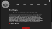 Kendi paneli olan basit bir blog sitesi