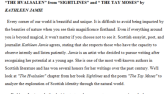 Essay/Makale