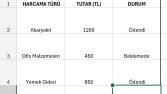 Haftalık Harcama Tablosu
