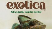 Exotica Dergi Kapağı Seri Tasarımları