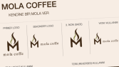 Mola Coffe-Konsept Proje