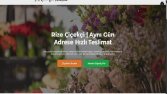 WooCommerce Websitesi Tasarım Örneği 1