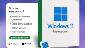 Microsoft Windows Lisansları