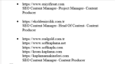 SEO CONTENT MANAGER