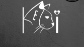 Kedi/Yaratıcılık