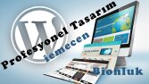 WP Tasarım