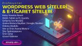 Profesyonel Web Tasarım - Uygun Fiyatlara Kaliteli İşler