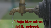 Afiş ve Broşür Tasarımı