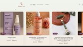 Ben profesyonel şekilde kurumsal ve e-ticaret sitesi kurarım