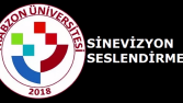 SİNEVİZYON