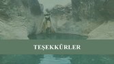 SUNUM HAZIRLAMA ve TASARIM