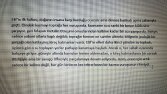 Profesyonel Metin Yazarlığı & Makale