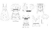 Moda & Grafik & Print Tasarım