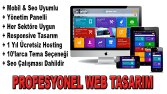 Ben wp tabanlı site hazırlar düzenler ve teslim ederim