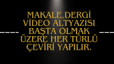Profesyonel Çeviri Hizmeti