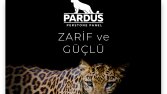 Sosyal Medya Tasarımları 