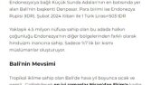 Seyahat Blog İçeriği