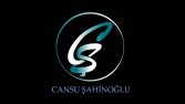 özel logo tasarımı