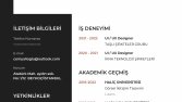 profesyonel cv hazırlama ve tasarımı