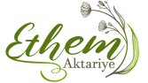 konsept logo