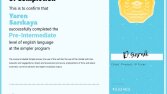 Profesyonel Çevirmen & Dil Uzmanı | İngilizce, Almanca, İspa