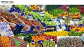 manavzeynel.com için web sitesi