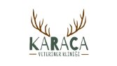 Logo Tasarımı 