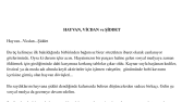 Hayvana şiddet!