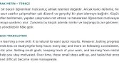 Türkçe, İngilizce ve Çince Çeviri Örnekleri