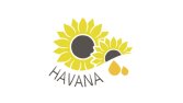 Yağ Ambalaj tasarım- logo tasarım