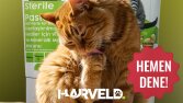 Harveld - Sosyal Medya Tasarımları