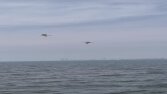 İnstagram için reels videoları