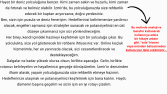 Analojik metin 