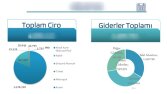 Dinamik Şirket Verileri İçin Finansal Dashboard ve Raporlama