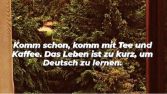 Alman dili çevirisi