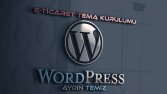 wordpress e-ticaret lisanslı tema alıp kurabilirim