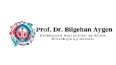 İsminize Özel Logo