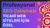 profesyonel seo çalışması