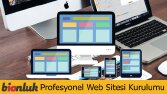 Profesyonel Web Sitesi Kurulumu