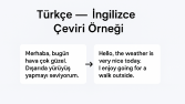 Profesyonel Türkçe – İngilizce Çeviri Örneği