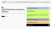 Web Tasarım & Geliştirme