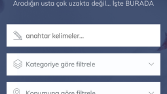 Wordpress ile sizlere harikalar yaratabilirim