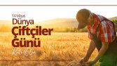 Sosyal medya tasarımları