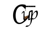 Minimalist Logo Tasarımı