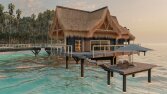 Render örnekleri