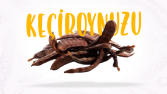 İş örneğim